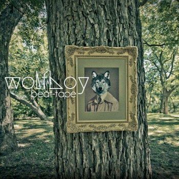 the wolfboy collection cover art