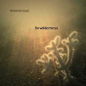 Bewilderness cover art