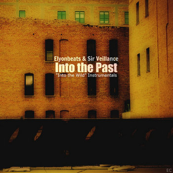 Into the Past cover art