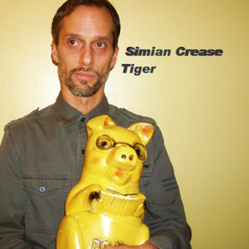 Tiger cover art
