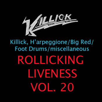 Rollicking Liveness Vol. 20: Ringwood NJ 8.13.11 cover art