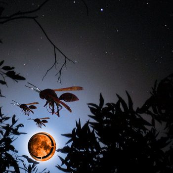 With the Moon Alongside Racing Us Home cover art