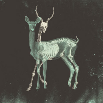 Blanco perfecto cover art