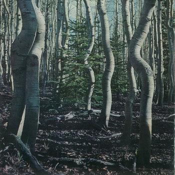 Same Light cover art