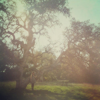 In Calico cover art