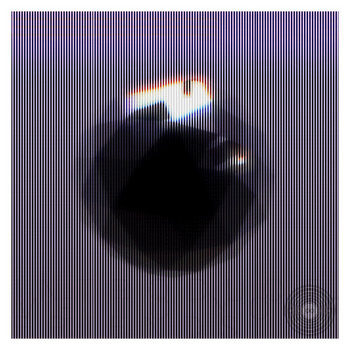 IM008.- BRUISES - Introduce Me To Your Friends cover art