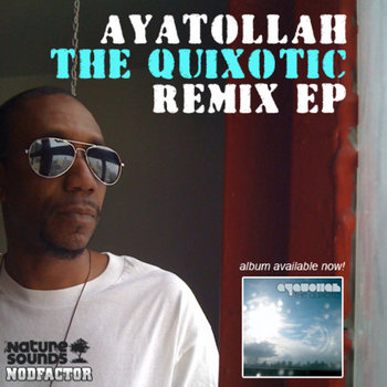 Nodfactor & Nature Sounds Present: The Quixotic Remix EP cover art