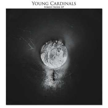 Forest Noise cover art