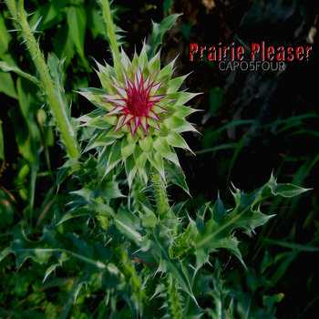 Prairie Pleaser cover art
