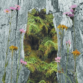 Yeti Sounds cover art