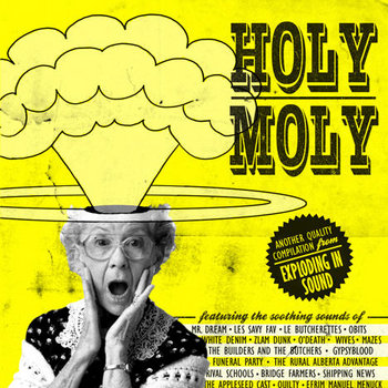 HOLY MOLY!! cover art