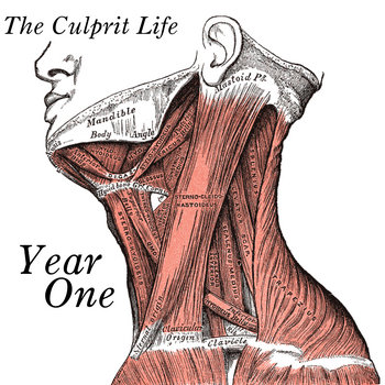 Year One cover art