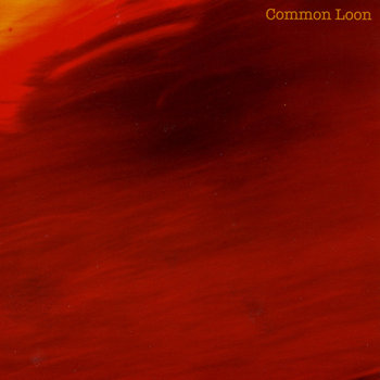 The Long Dream of Birds cover art