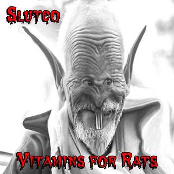 Vitamins For Rats cover art