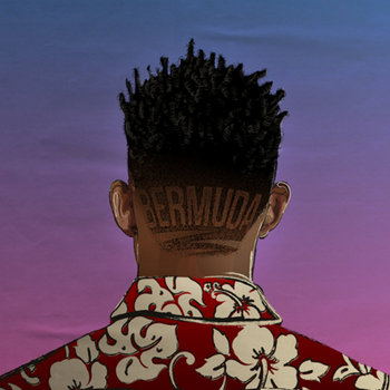 Bermuda cover art