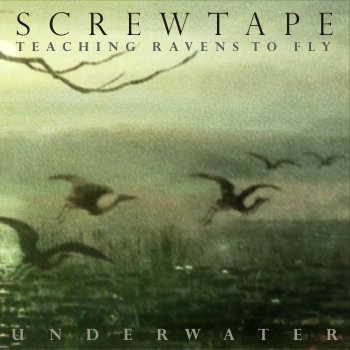 Teaching Ravens to Fly Underwater cover art