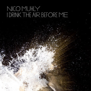 I Drink The Air Before Me cover art
