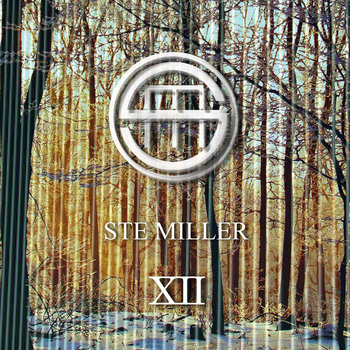 XII cover art