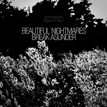 Beautiful Nightmares Break Asunder cover art