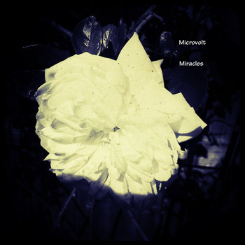 Miracles cover art
