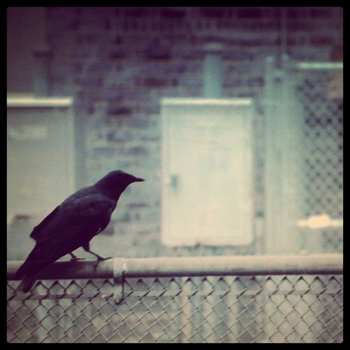 The Weather EP cover art