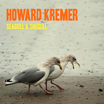 Seagull & Shegull cover art