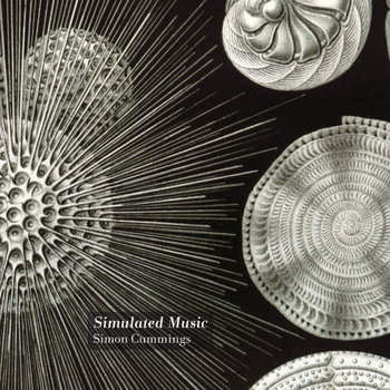 Simulated Music cover art