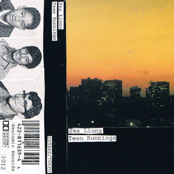 NR!-003: Home Recordings cover art