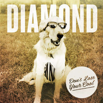 Don't Lose Your Cool cover art