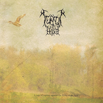 A Rage of Rapture Against the Dying of the Light cover art