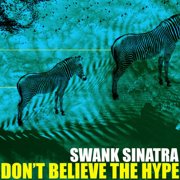 Don't Believe the Hype cover art