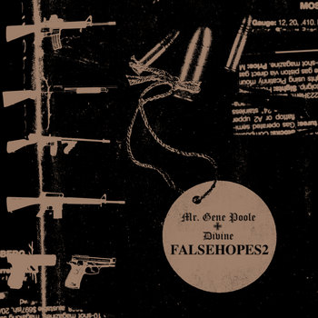 Falsehopes 2 cover art