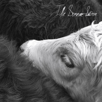 The Summer Storm EP cover art
