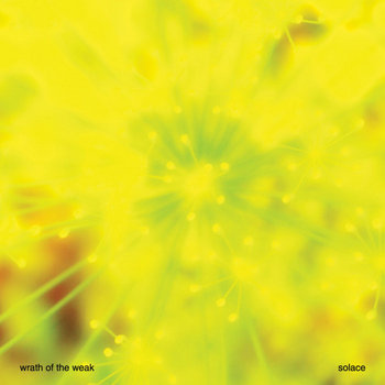 Solace cover art