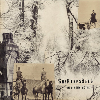 Minisink Hotel cover art