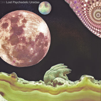 Lost Psychedelic Ursidae cover art