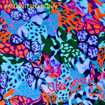 Lake Tones EP cover art