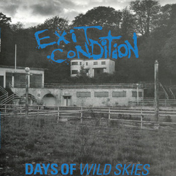 Days Of Wild Skies LP cover art