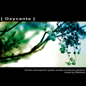 [ Oxycanta ] cover art