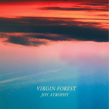 Joy Atrophy cover art