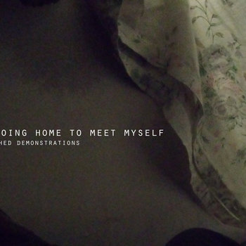 Shed Demonstrations cover art