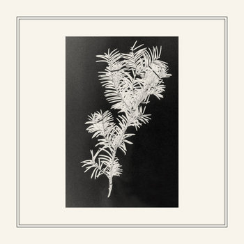 Taxus Baccata cover art