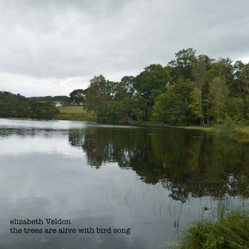 the trees are alive with bird song cover art