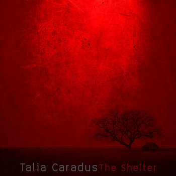 The Shelter cover art