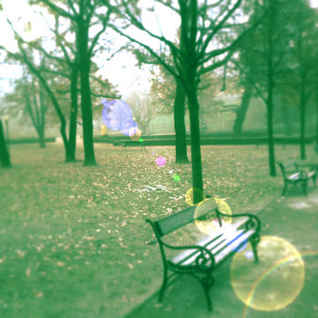 Morning cover art