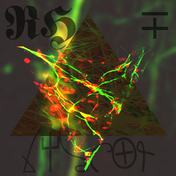 Coded cover art