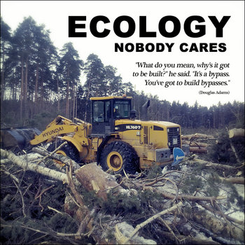 requiem for tsagi forest cover art