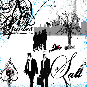 Salt cover art