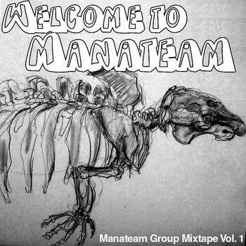 Welcome to Manateam cover art