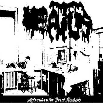 Laboratory for Fecal Analysis cover art